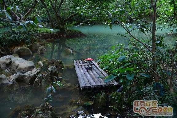 探索大学生有必要谈恋爱吗?主题的全新红迪网平台